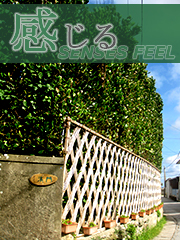 感じる SENSES FEEL